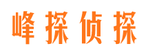 山阳市侦探调查公司